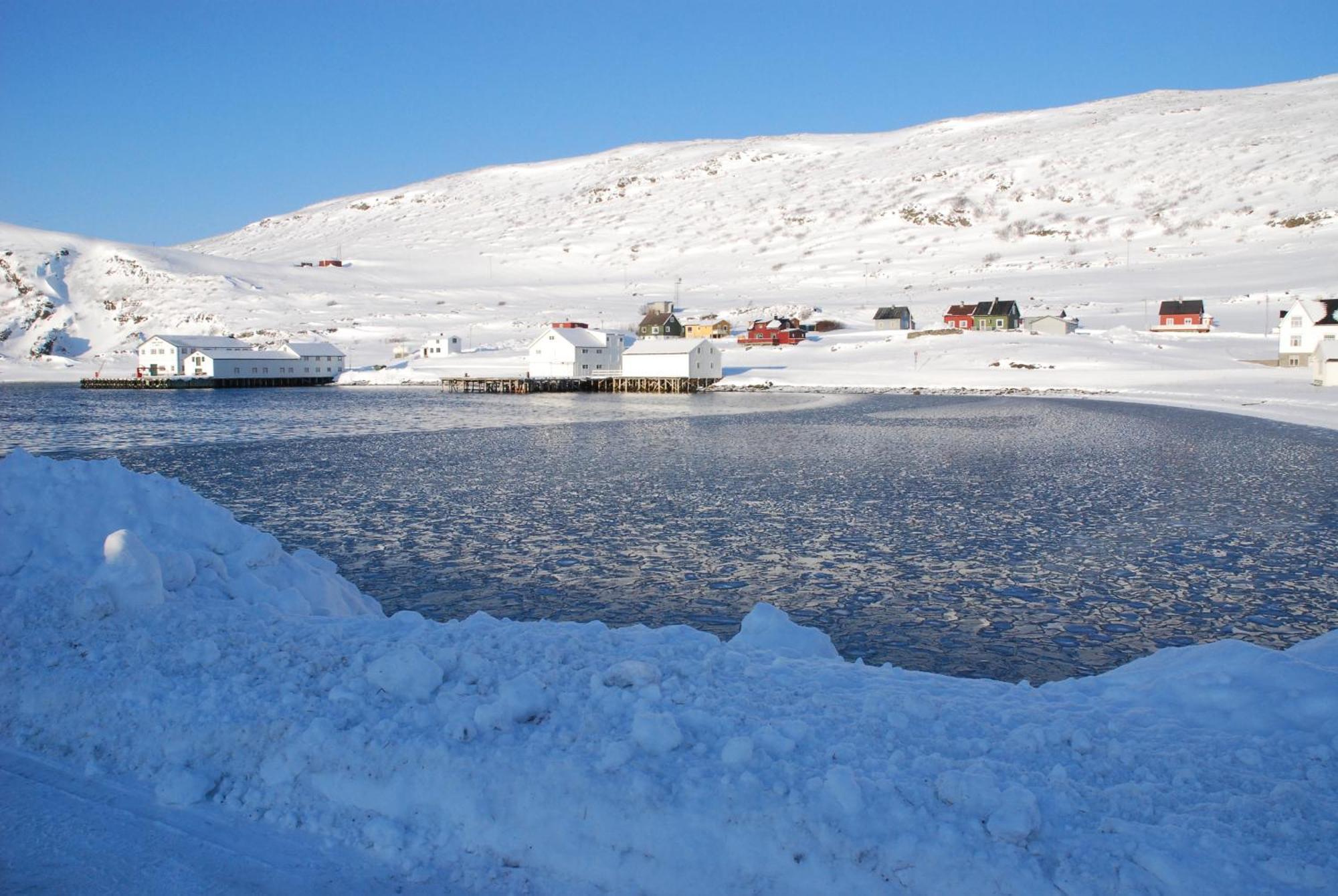 Kongsfjord Holiday Home Экстерьер фото