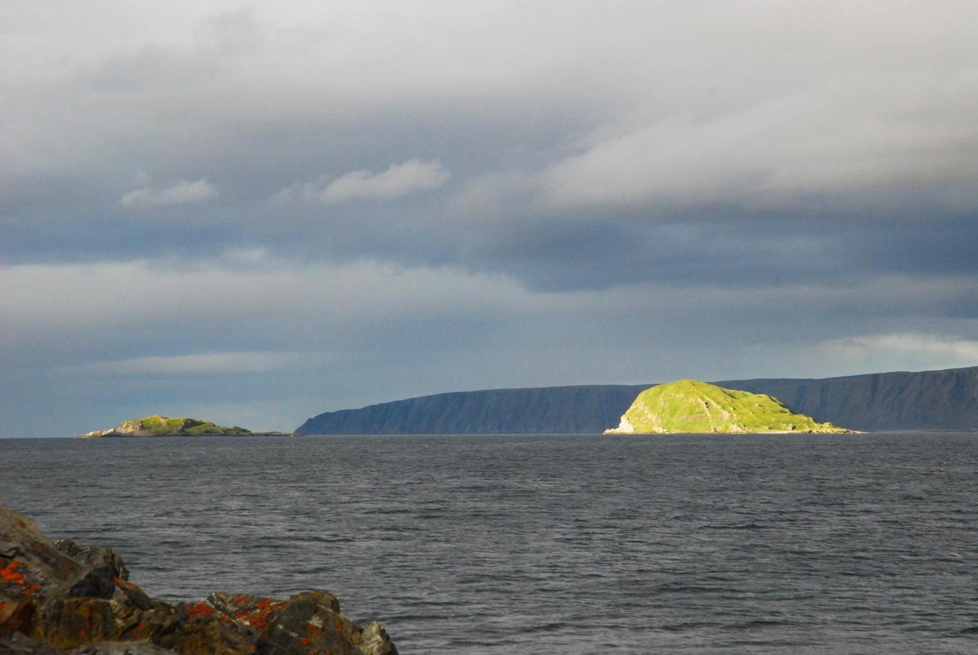 Kongsfjord Holiday Home Экстерьер фото