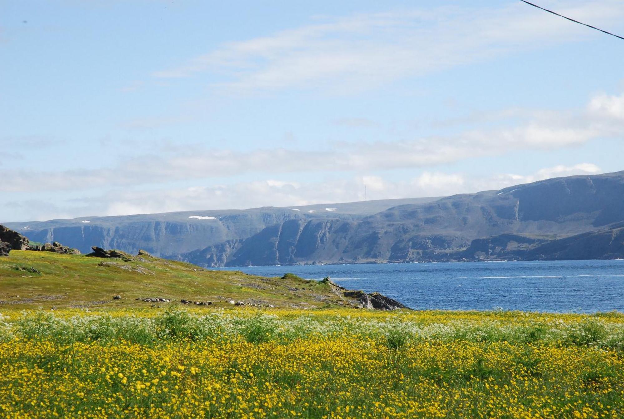 Kongsfjord Holiday Home Экстерьер фото